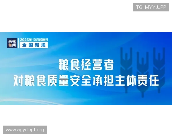 应对DB真人漏洞的最佳实践与游戏运营中安全维护的实用建议